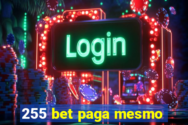 255 bet paga mesmo